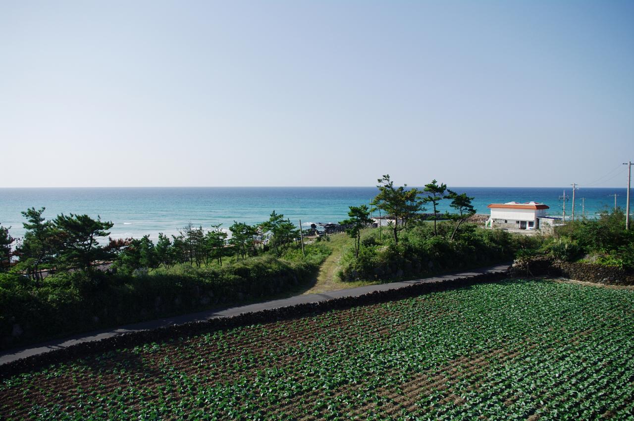 6Pm Pension Jeju Luaran gambar